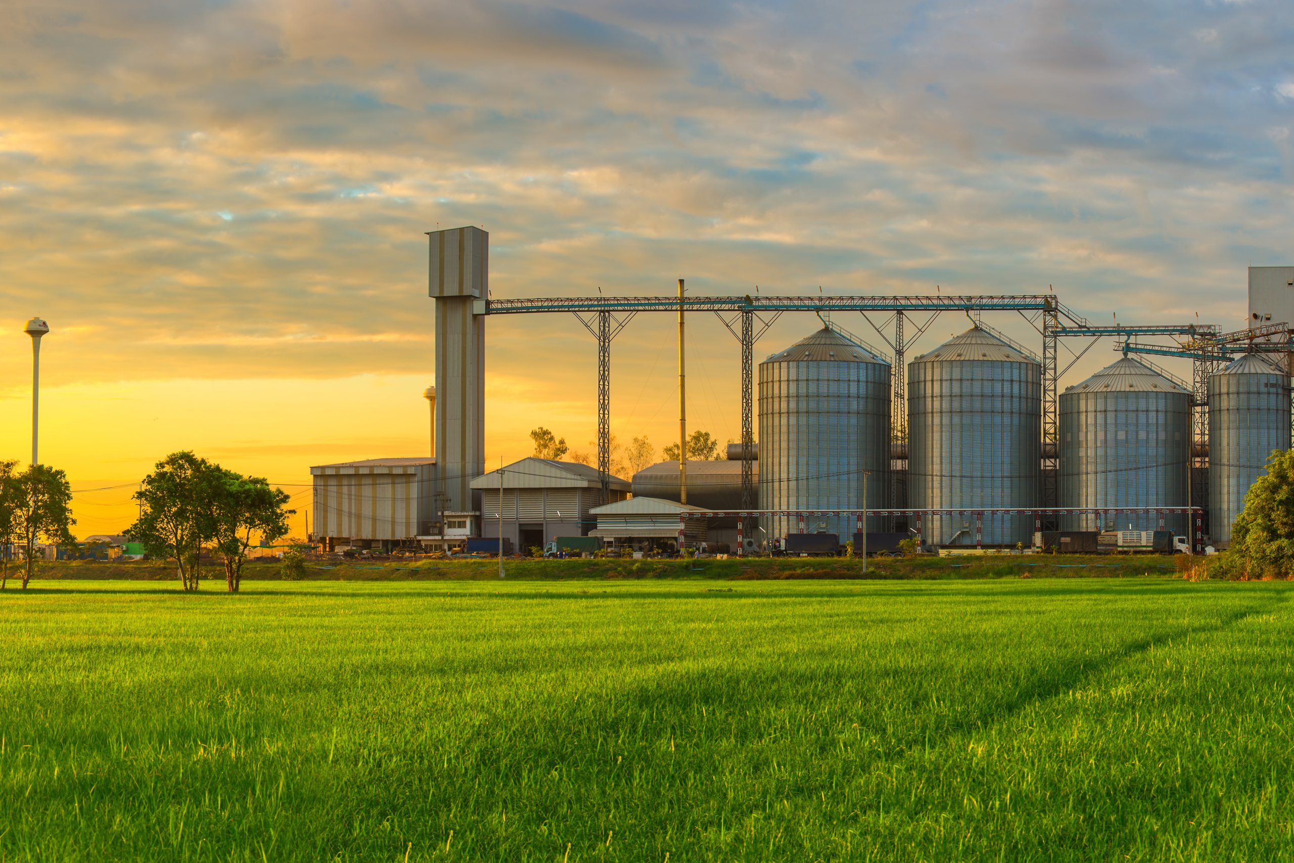 Food Manufacturing Facility